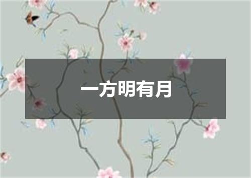 一方明有月