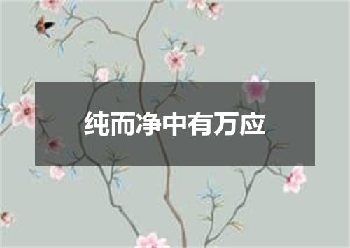 纯而净中有万应