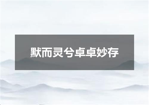 默而灵兮卓卓妙存