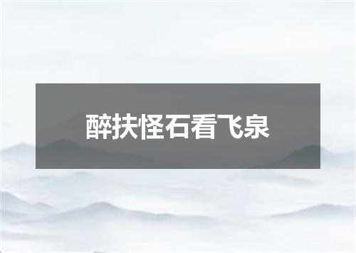 醉扶怪石看飞泉