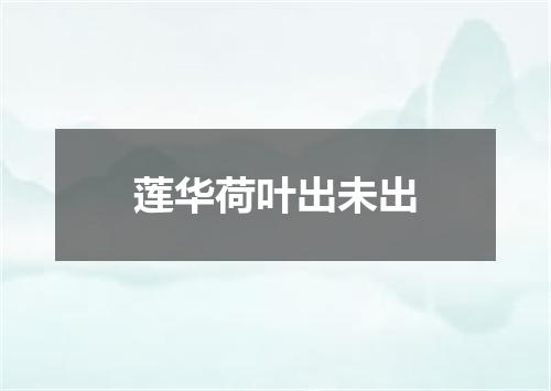 莲华荷叶出未出