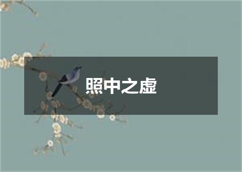 照中之虚
