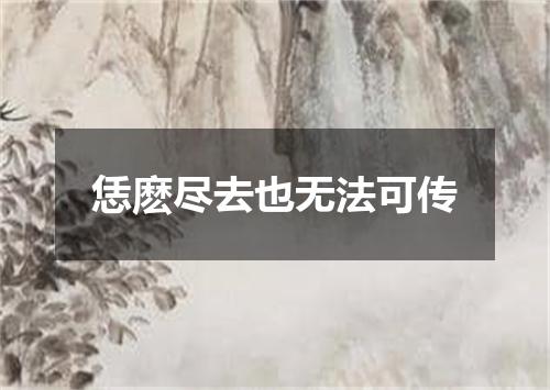 恁麽尽去也无法可传