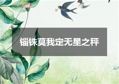 锱铢莫我定无星之秤