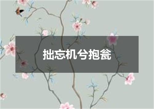 拙忘机兮抱瓮