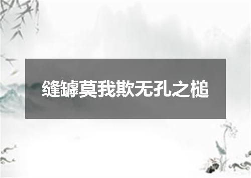 缝罅莫我欺无孔之槌