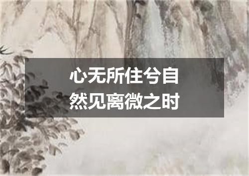 心无所住兮自然见离微之时