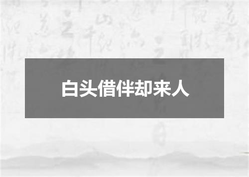 白头借伴却来人