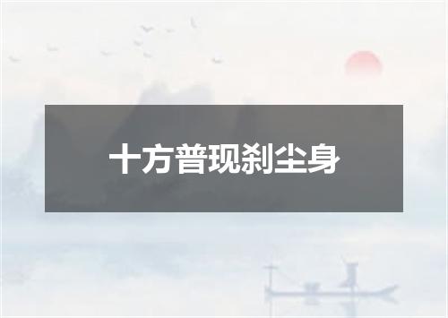 十方普现刹尘身