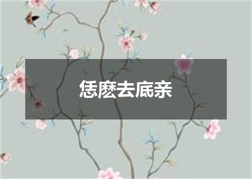 恁麽去底亲