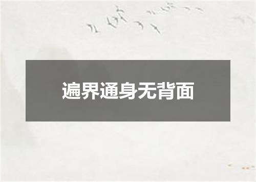 遍界通身无背面