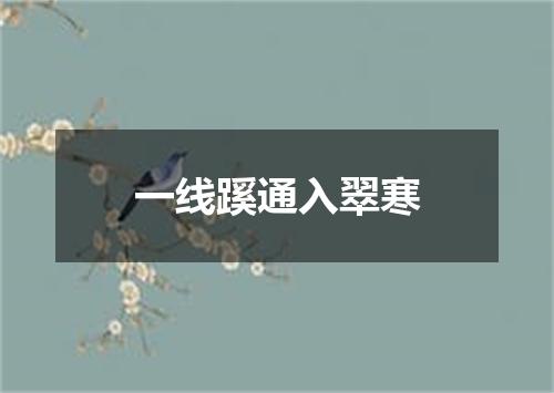 一线蹊通入翠寒