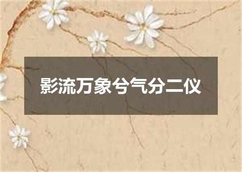 影流万象兮气分二仪