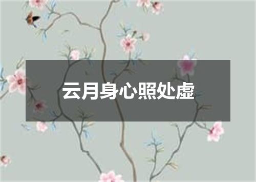 云月身心照处虚