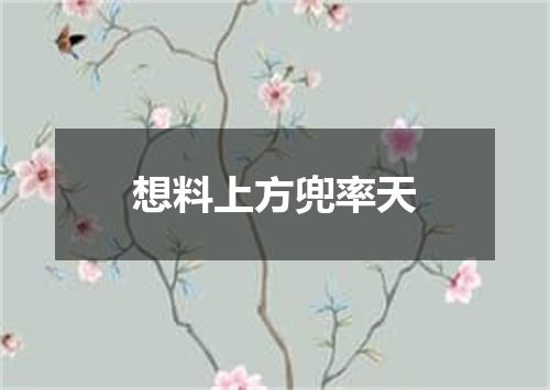 想料上方兜率天
