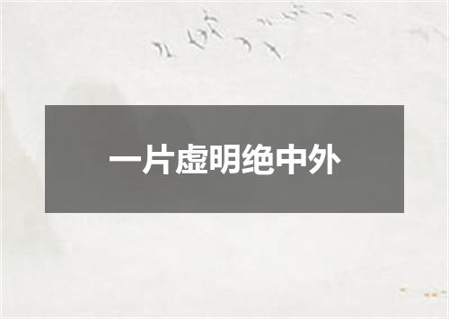一片虚明绝中外
