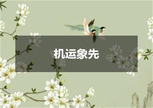 机运象先