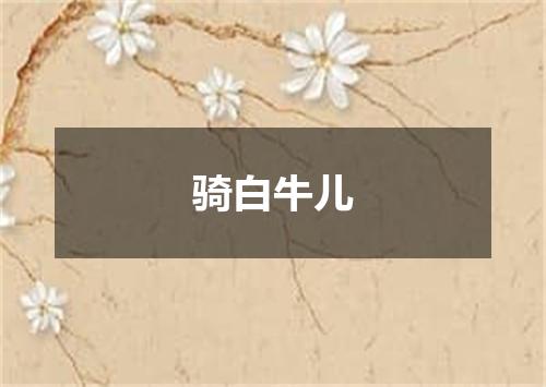 骑白牛儿