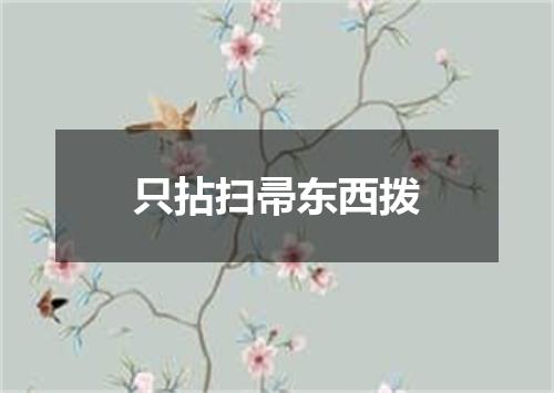 只拈扫帚东西拨