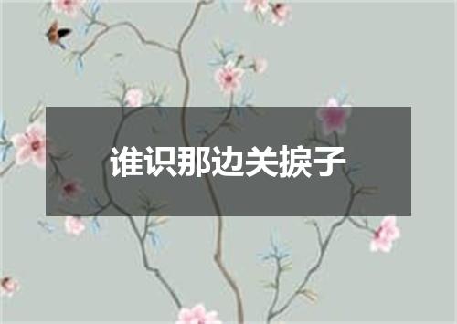 谁识那边关捩子
