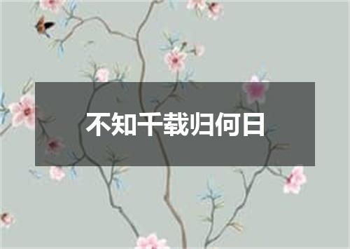 不知千载归何日