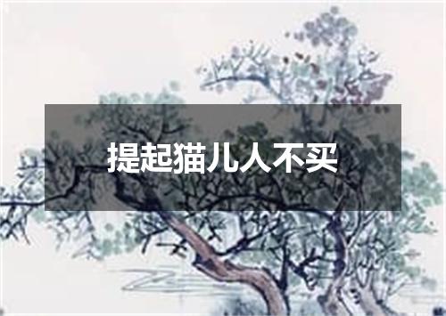 提起猫儿人不买