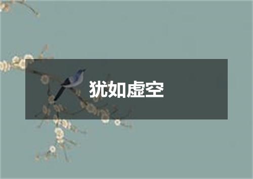 犹如虚空