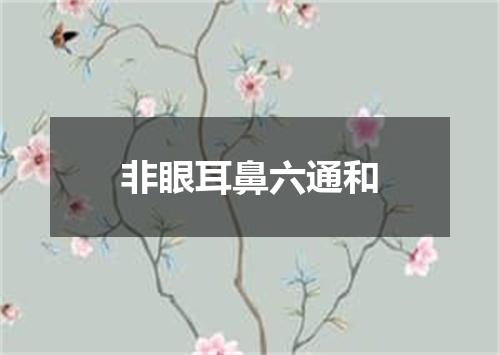非眼耳鼻六通和