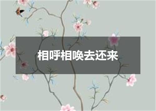 相呼相唤去还来