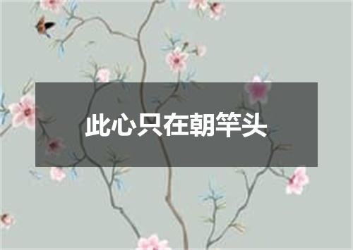 此心只在朝竿头