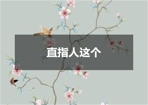 直指人这个