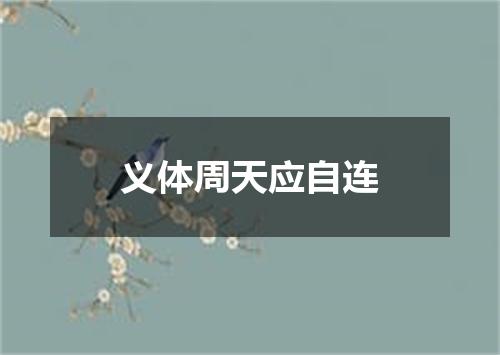 义体周天应自连