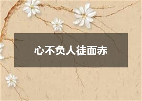 心不负人徒面赤