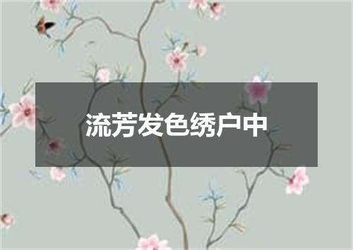 流芳发色绣户中