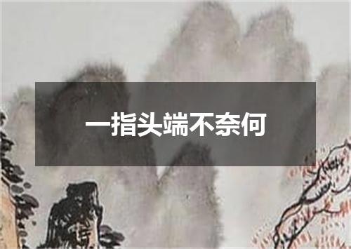 一指头端不奈何