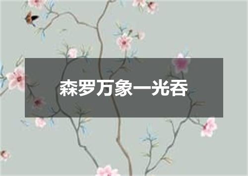 森罗万象一光吞