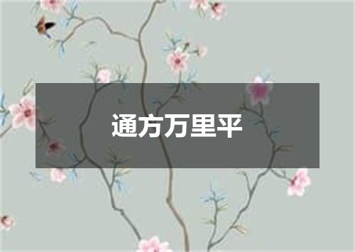 通方万里平