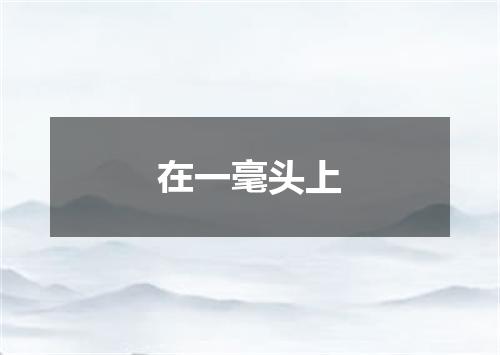 在一毫头上