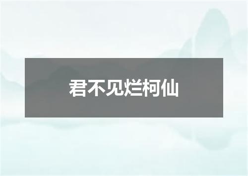 君不见烂柯仙