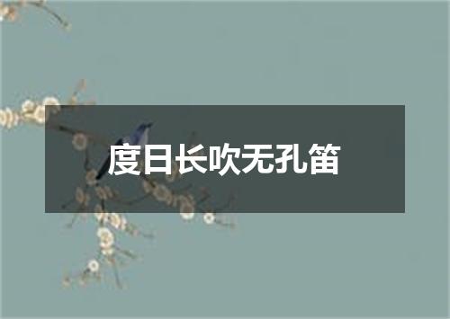 度日长吹无孔笛