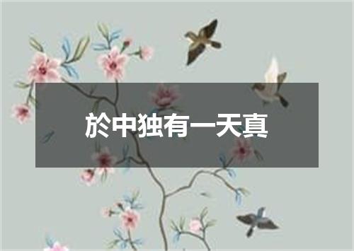 於中独有一天真
