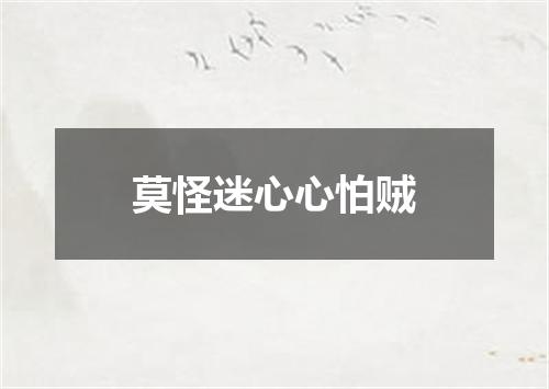莫怪迷心心怕贼