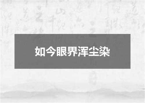 如今眼界浑尘染