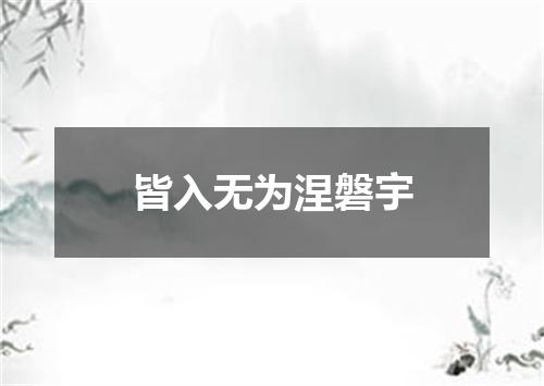 皆入无为涅磐宇