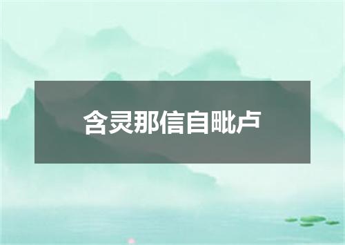 含灵那信自毗卢
