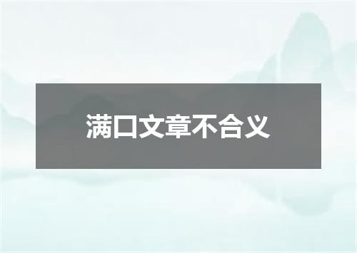 满口文章不合义