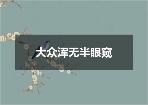 大众浑无半眼窥