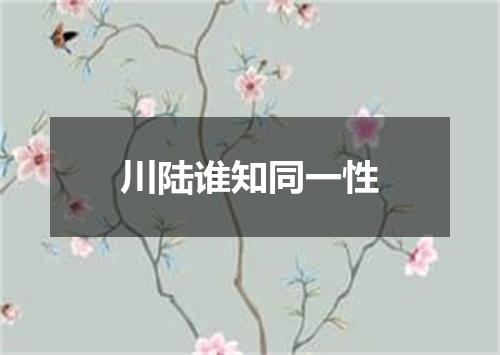 川陆谁知同一性
