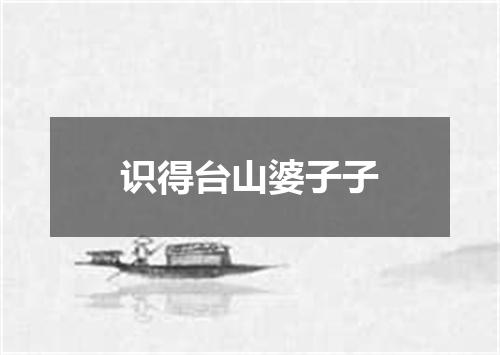 识得台山婆子子
