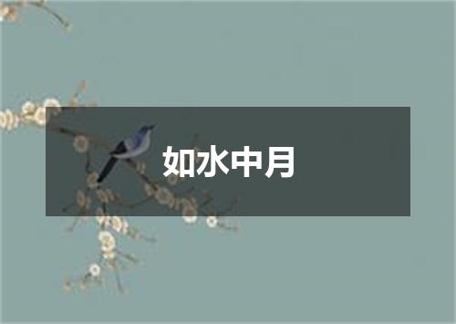 如水中月